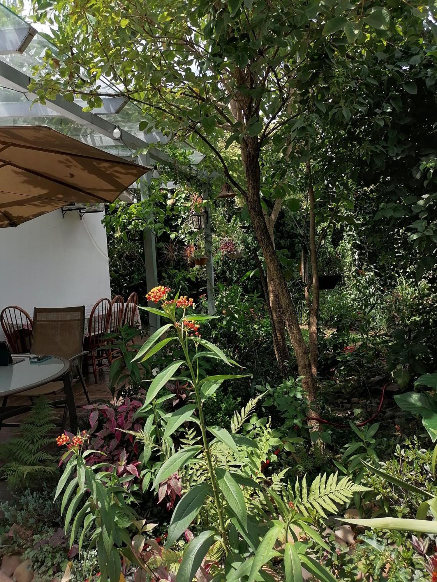 Granados Bed & Breakfast Asunción Eksteriør bilde