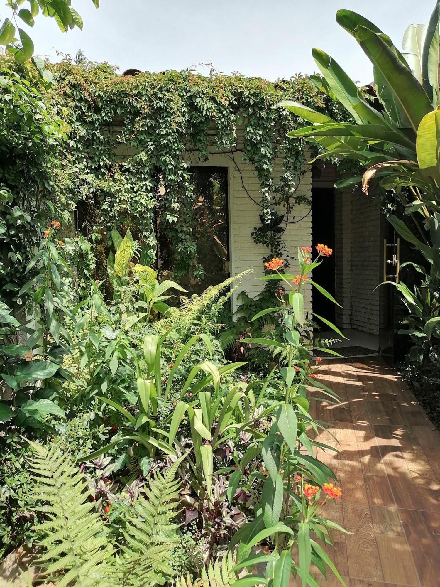 Granados Bed & Breakfast Asunción Eksteriør bilde
